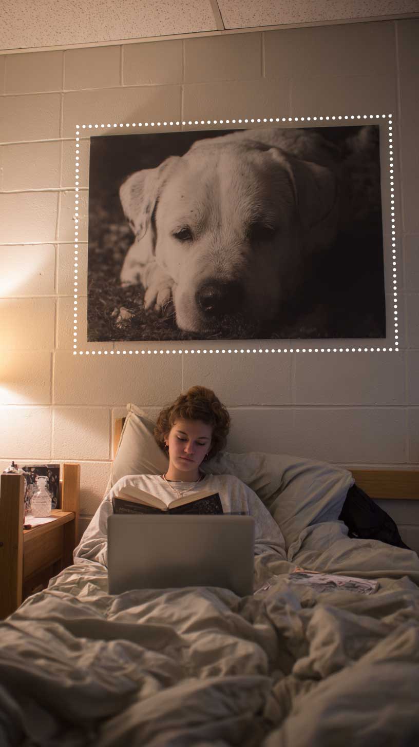 A young woman sitting up in bed, reading a book over a laptop with a large poster of her dog on the wall behind her.